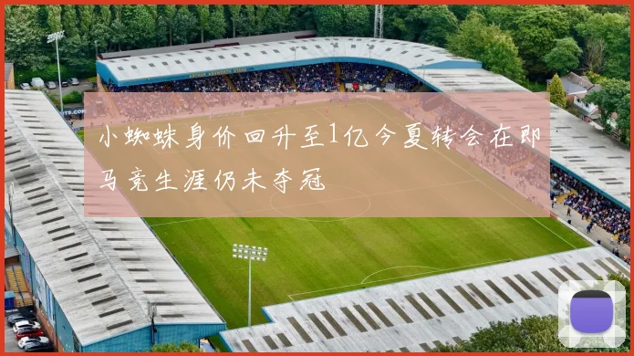 小蜘蛛身价回升至1亿今夏转会在即马竞生涯仍未夺冠